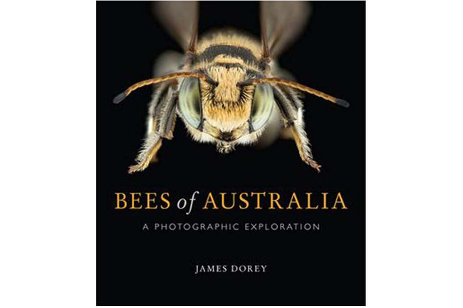 Bees Of Australia - A Photographic Exploration