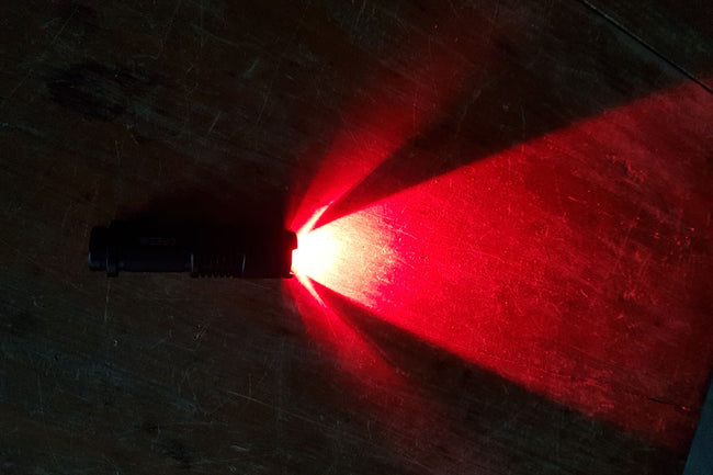 Red LED torch for night time bee work