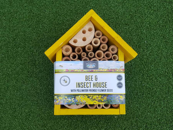 Insect houses and bee seeds