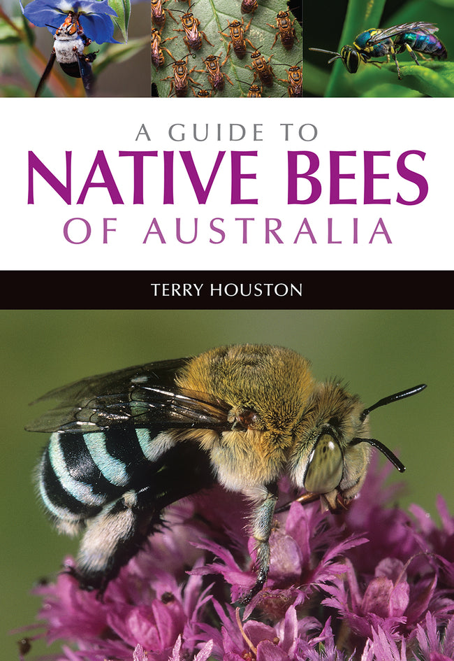 A guide to native bees of Australia