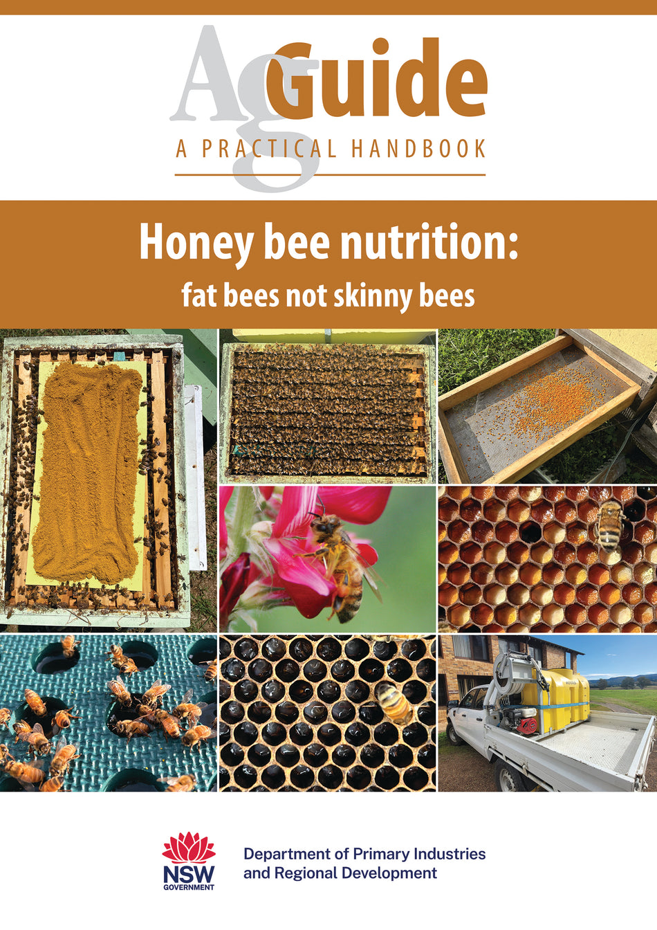 Honey Bee Nutrition - Fat Bees Not Skinny Bees