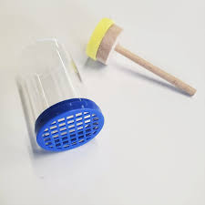 Queen Marking Cage with Plunger