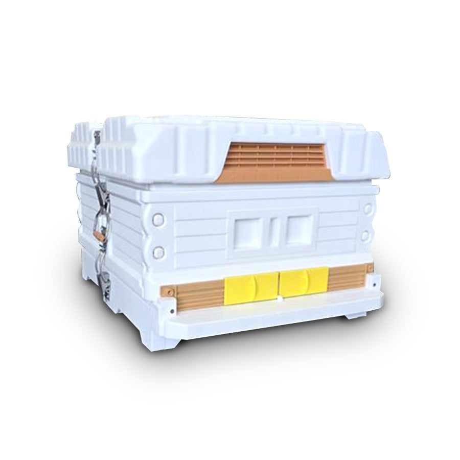 Apimaye 10F Manley Brood