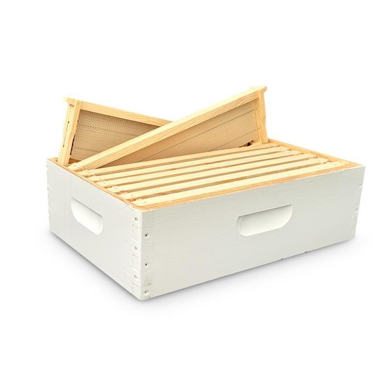 8F Ideal Premium Finger Joint Box - Assembled Hot Wax Dipped & Painted plus 8 Waxed Frames