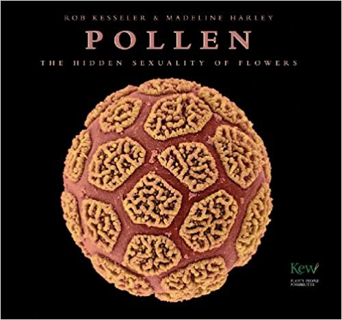 Pollen: The hidden sexuality of flowers