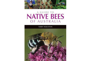 A guide to native bees of Australia