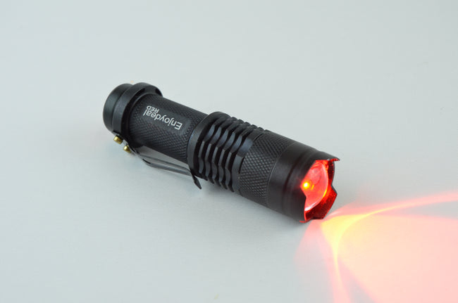 Red LED torch for night time bee work