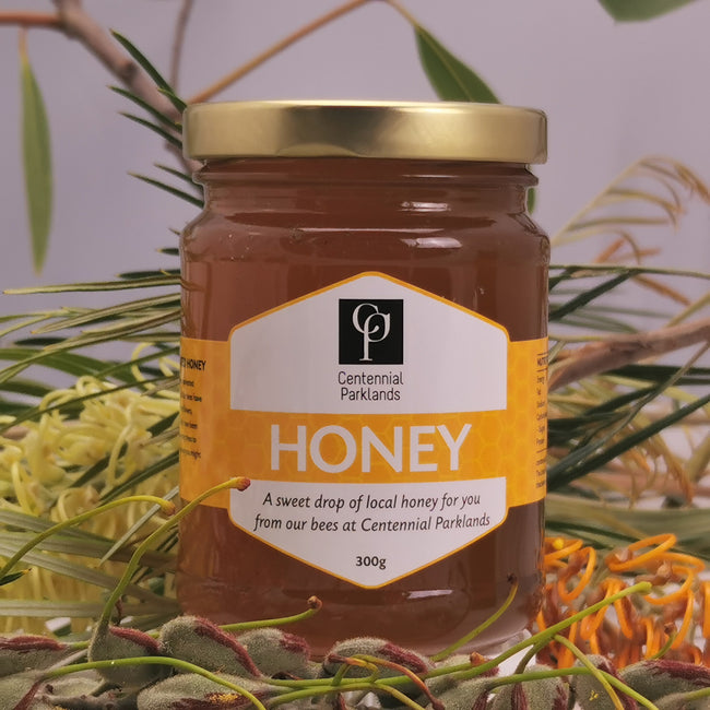 Centennial Park lands Honey