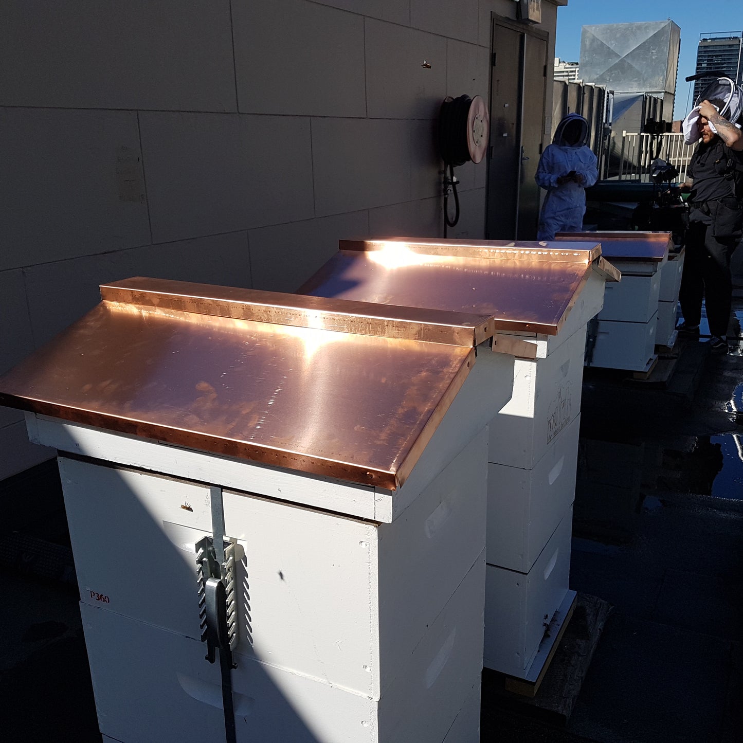 Pigeon or peaked (pitched) langstroth lid with optional copper cover