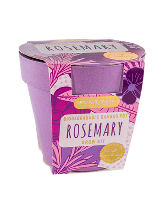 Rosemary grow pot